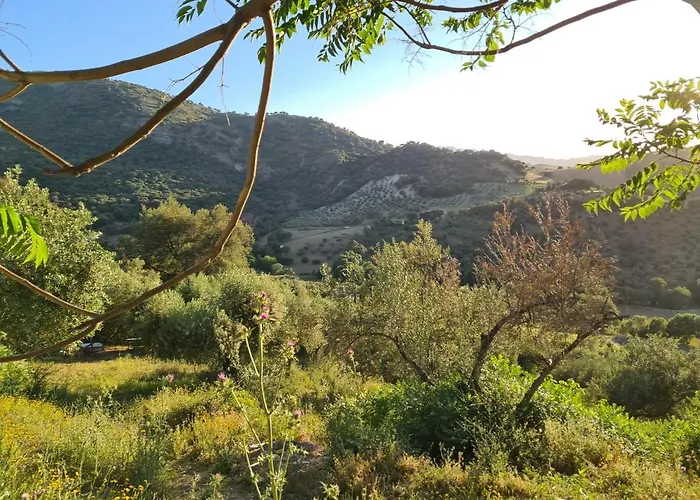 Casa vacanze La Casita De Madera Sijuela *